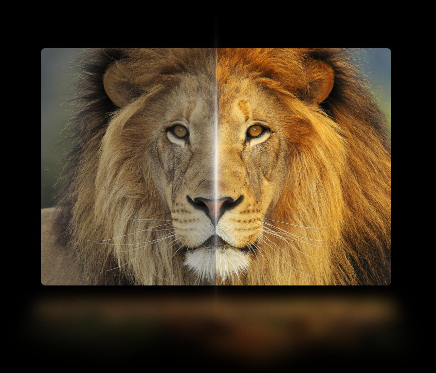 1670654461846392.png
